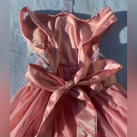 Little Girls Sequined Rose Tulle Dress - Picture 4 of 4